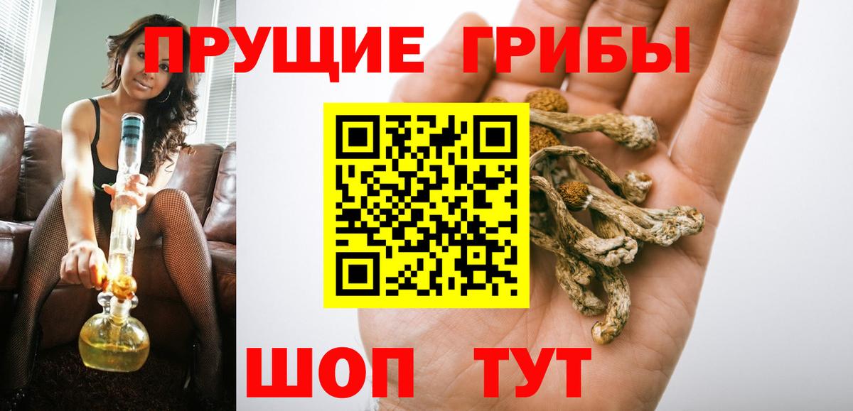 Псилоцибиновые грибы Psilocybine cubensis Усть-Лабинск